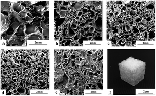 Graphical abstract: Preparation and biological performance of poly(vinyl alcohol)/hydroxyapatite porous composites used for cartilage repair
