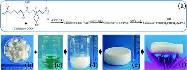 Graphical abstract: Cellulose-based aerogel from Eichhornia crassipes as an oil superabsorbent