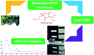 Graphical abstract: High-throughput modified QuEChERS method for the determination of the mycotoxin tenuazonic acid in wine grapes