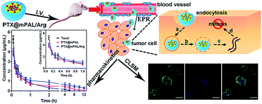 Graphical abstract: Construction of novel pH-sensitive hybrid micelles for enhanced extracellular stability and rapid intracellular drug release