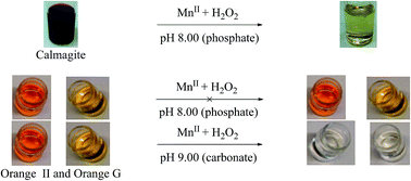 Graphical abstract: Selective oxidative degradation of azo dyes by hydrogen peroxide catalysed by manganese(ii) ions