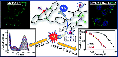 Graphical abstract: BODIPY appended copper(ii) complexes for cellular imaging and singlet oxygen mediated anticancer activity in visible light
