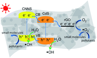 Graphical abstract: Synthesis and application of ternary photocatalyst with a gradient band structure from two-dimensional nanosheets as precursors
