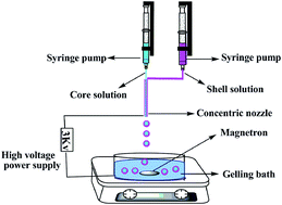 Graphical abstract: Preparation and characterization of a core–shell KNO3@alginate-Ca particle with uranium-removal and slow-release of KNO3