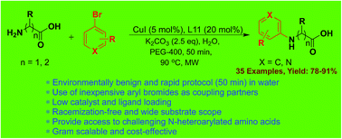 Graphical abstract: Copper-catalyzed N-(hetero)arylation of amino acids in water