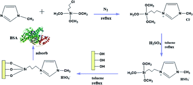 Graphical abstract: Acidic ionic liquid modified silica gel for adsorption and separation of bovine serum albumin (BSA)