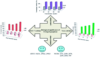 Graphical abstract: Understanding the significance of O-doped graphene towards biomedical applications