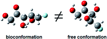 Graphical abstract: Is the bioconformation of 5-deoxy-5-fluoro-d-xylulose affected by intramolecular hydrogen bonds?