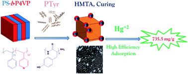 Graphical abstract: Nanoarchitectures of self-assembled poly(styrene-b-4-vinyl pyridine) diblock copolymer blended with polypeptide for effective adsorption of mercury(ii) ions