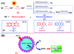 Graphical abstract: A new trick (hydroxyl radical generation) of an old vitamin (B2) for near-infrared-triggered photodynamic therapy