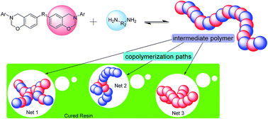 Graphical abstract: Copolymerization and phase separation behaviors of benzoxazine–amine thermosets