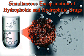 Graphical abstract: Dual encapsulation of hydrophobic and hydrophilic drugs in PLGA nanoparticles by a single-step method: drug delivery and cytotoxicity assays