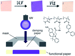 Graphical abstract: Preparation of photochromic paper, using fibre-attached spiropyran polymer networks