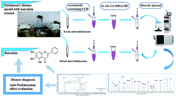 Graphical abstract: Sensitive and accurate determination of neurotransmitters from in vivo rat brain microdialysate of Parkinson's disease using in situ ultrasound-assisted derivatization dispersive liquid–liquid microextraction by UHPLC-MS/MS