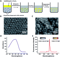 Graphical abstract: Lanthanide chelate-encapsulated polystyrene nanoparticles for rapid and quantitative immunochromatographic assay of procalcitonin