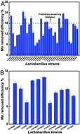 Graphical abstract: Systematic understanding of the potential manganese-adsorption components of a screened Lactobacillus plantarum CCFM436