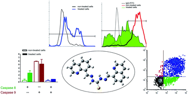 Graphical abstract: Quinoline based mono- and bis-(thio)carbohydrazones: synthesis, anticancer activity in 2D and 3D cancer and cancer stem cell models