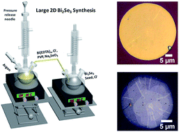 Graphical abstract: Large-area two-dimensional bismuth selenide crystals synthesized by solution-based control of the nucleation environment