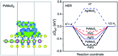 Graphical abstract: Monolayer MoS2 film supported metal electrocatalysts: a DFT study