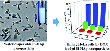Graphical abstract: Synthesis of water-dispersible silicon-containing hydroxyapatite nanoparticles with adjustable degradation rates and their applications as pH-responsive drug carriers