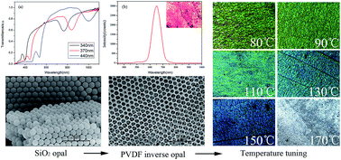 Graphical abstract: Temperature tunable photonic band gap in polyvinylidene fluoride inverse opals