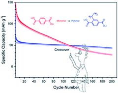 Graphical abstract: Synthesis and solvent-free polymerisation of vinyl terephthalate for application as an anode material in organic batteries