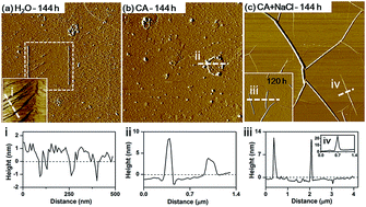 Graphical abstract: The influence of citrate on surface dissolution and alteration of the micro- and nano-structure of biotite