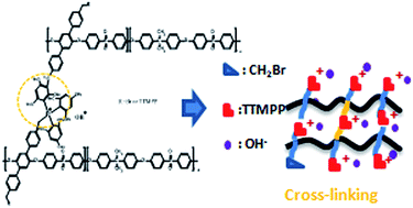 Graphical abstract: Self-cross-linked quaternary phosphonium based anion exchange membranes: assessing the influence of quaternary phosphonium groups on alkaline stability