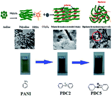 Graphical abstract: Localized polarons in in situ synthesized polyaniline nanocomposite improve the morphology and the thermal and electrical conductivity