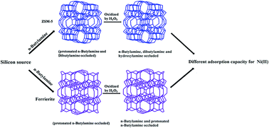 Graphical abstract: Study on the synthesis of MFI and FER in the presence of n-butylamine and the property of n-butylamine in a confined region of zeolites