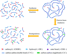 Graphical abstract: Bio-based elastomer nanoparticles with controllable biodegradability