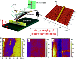 Graphical abstract: Nanoscale investigations on β-phase orientation, piezoelectric response, and polarization direction of electrospun PVDF nanofibers