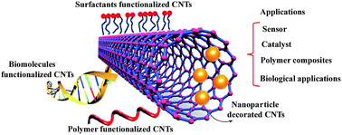 Graphical abstract: Surface functionalization of carbon nanotubes: fabrication and applications