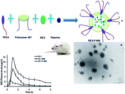 Graphical abstract: Resveratrol-piperine loaded mixed micelles: formulation, characterization, bioavailability, safety and in vitro anticancer activity
