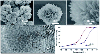 Graphical abstract: CeO2 decorated CuO hierarchical composites as inverse catalyst for enhanced CO oxidation