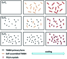 Graphical abstract: Effect of solubility of a hydrazide compound on the crystallization behavior of poly(l-lactide)