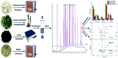 Graphical abstract: Polycyclic aromatic hydrocarbons in traditional Chinese medicines: an analytical method based on different medicinal parts, levels, distribution, and sources