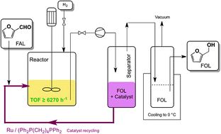 Graphical abstract: Ruthenium-catalyzed solvent-free conversion of furfural to furfuryl alcohol