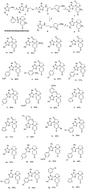 Graphical abstract: Copper salt-catalyzed formation of a novel series of triazole–spirodienone conjugates with potent anticancer activity