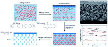 Graphical abstract: Thin skinned asymmetric polybenzimidazole membranes with readily tunable morphologies for high-performance vanadium flow batteries