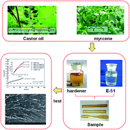 Graphical abstract: Study on the synthesis of bio-based epoxy curing agent derived from myrcene and castor oil and the properties of the cured products
