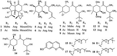 Graphical abstract: Sesquiterpenoids and monoterpenoid coumarins from Parasenecio rubescens