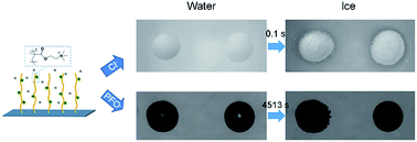 Graphical abstract: Ion-specific ice propagation behavior on polyelectrolyte brush surfaces