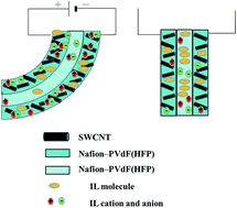 Graphical abstract: High-performance ionic and non-ionic fluoropolymer/ionic liquid gel hybrid actuators based on single-walled carbon nanotubes