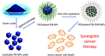 Graphical abstract: Facile synthesis of Prussian blue nanoparticles as pH-responsive drug carriers for combined photothermal-chemo treatment of cancer