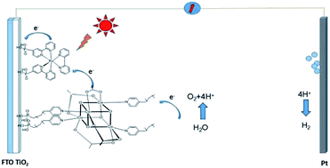 Graphical abstract: Immobilising a cobalt cubane catalyst on a dye-sensitised TiO2 photoanode via electrochemical polymerisation for light-driven water oxidation