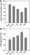 Graphical abstract: Ark shell protein hydrolysates inhibit adipogenesis in mouse mesenchymal stem cells through the down-regulation of transcriptional factors