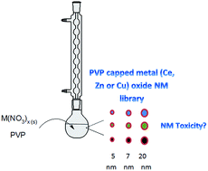 Graphical abstract: Development of scalable and versatile nanomaterial libraries for nanosafety studies: polyvinylpyrrolidone (PVP) capped metal oxide nanoparticles