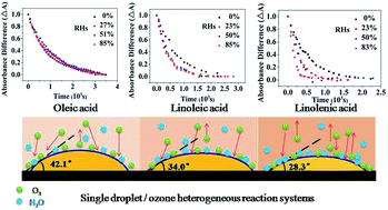 Graphical abstract: Kinetics study of heterogeneous reactions of ozone with unsaturated fatty acid single droplets using micro-FTIR spectroscopy