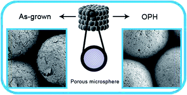 Graphical abstract: Mineralization of a superficially porous microsphere scaffold via plasma modification